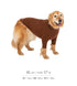 MANDARINE BROTHERS スキンタイトウォームTシャツ/SKIN TIGHT WARM T-SHIRT